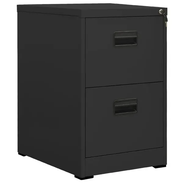 Rabatter vidaXL Dokumentskåp antracit 46x62x72,5 cm stål
